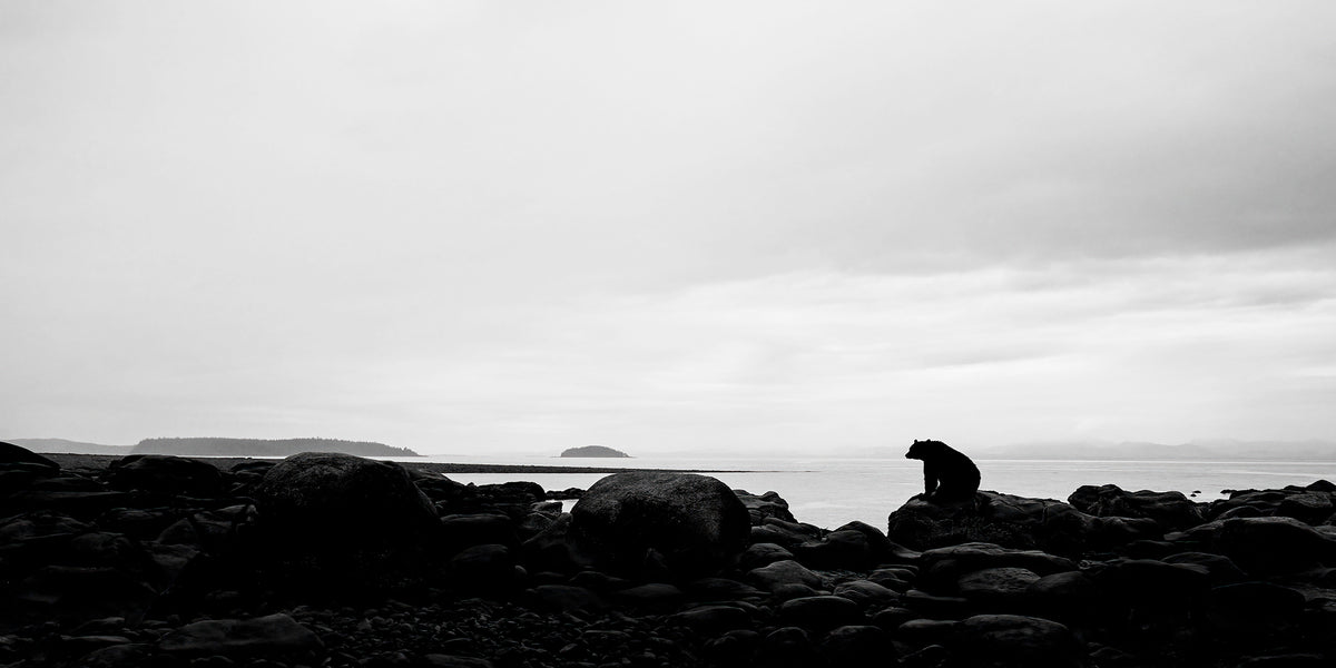 Contemplation - Ltd. Edition /15