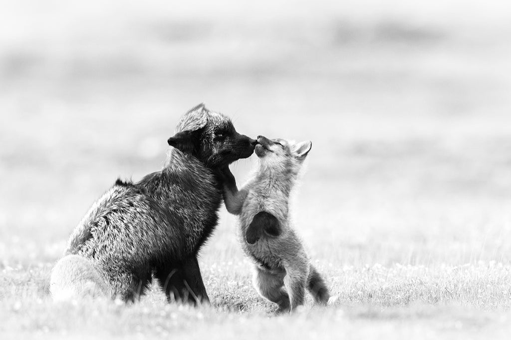 Motherly Love