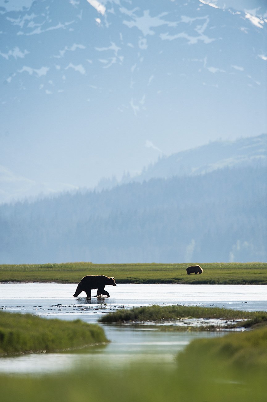 Lake Clark Grandeur