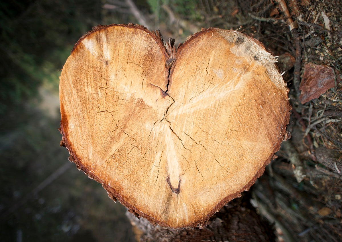 Heart Tree