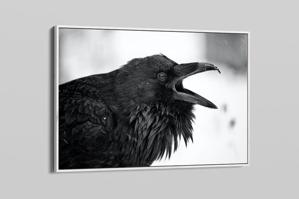 Raven Speak - Brandon T. Brown
