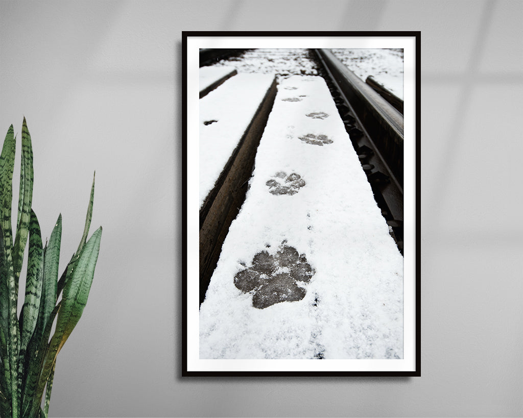 Wolf Tracks (left by &#39;The Black&#39;)