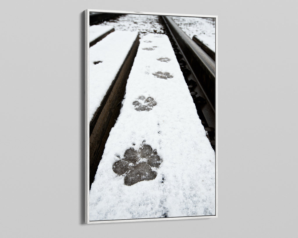 Wolf Tracks (left by &#39;The Black&#39;)