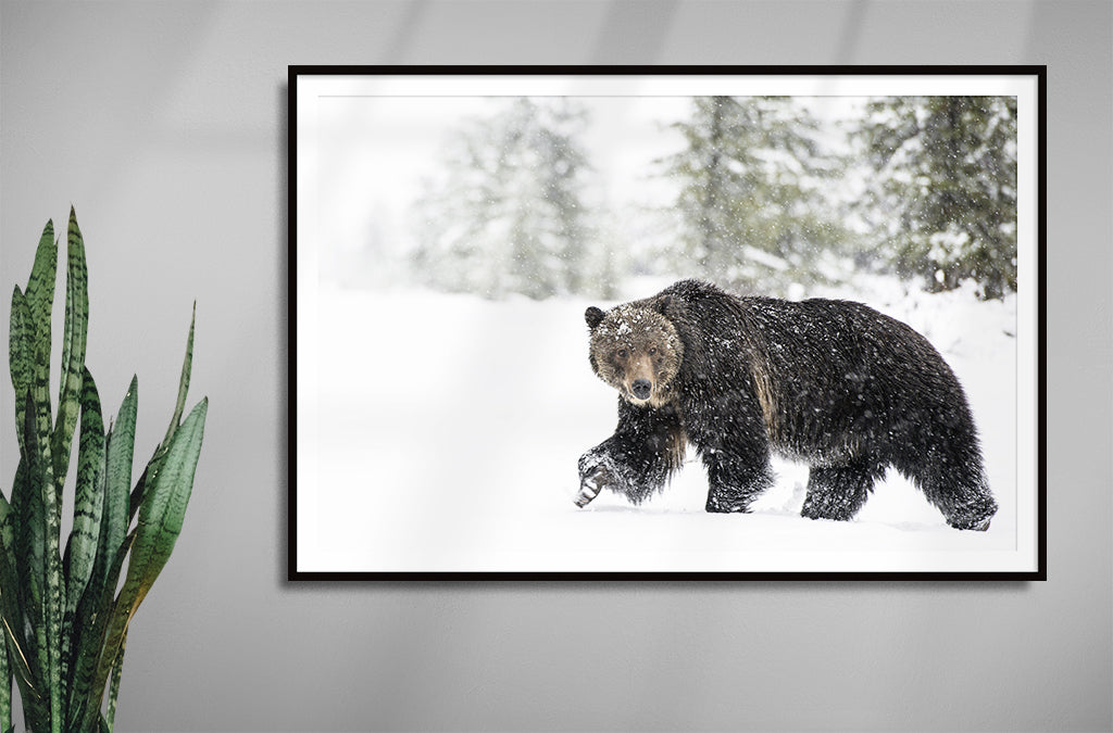 Weathering the Storm