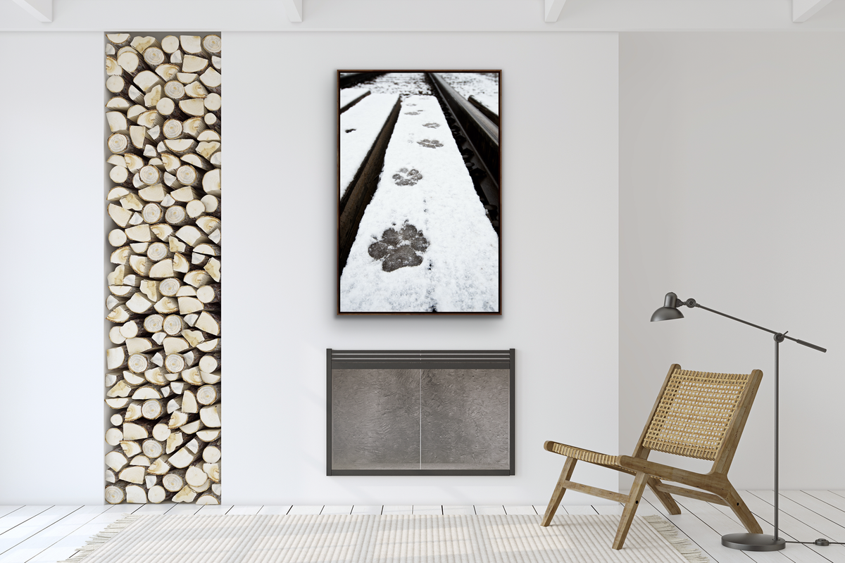 Wolf Tracks (left by &#39;The Black&#39;)