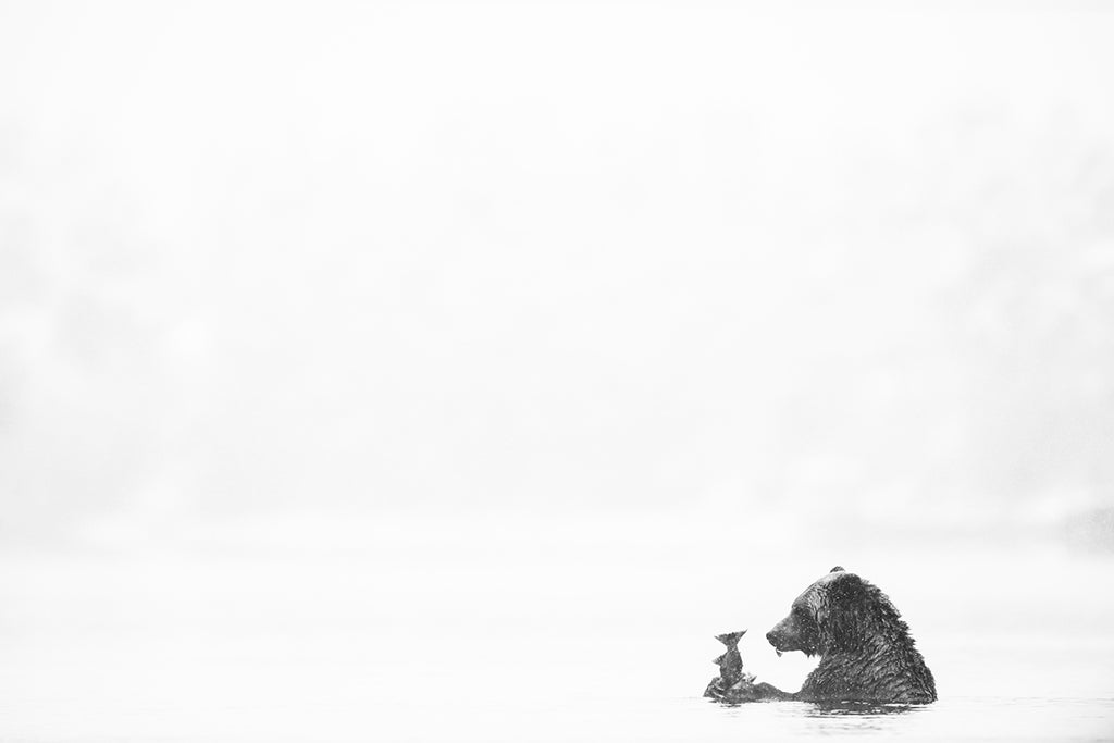 Martini Bear Brandon T. Brown