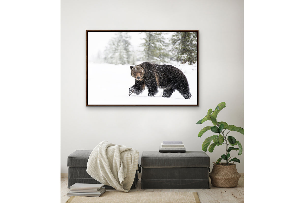 Weathering the Storm